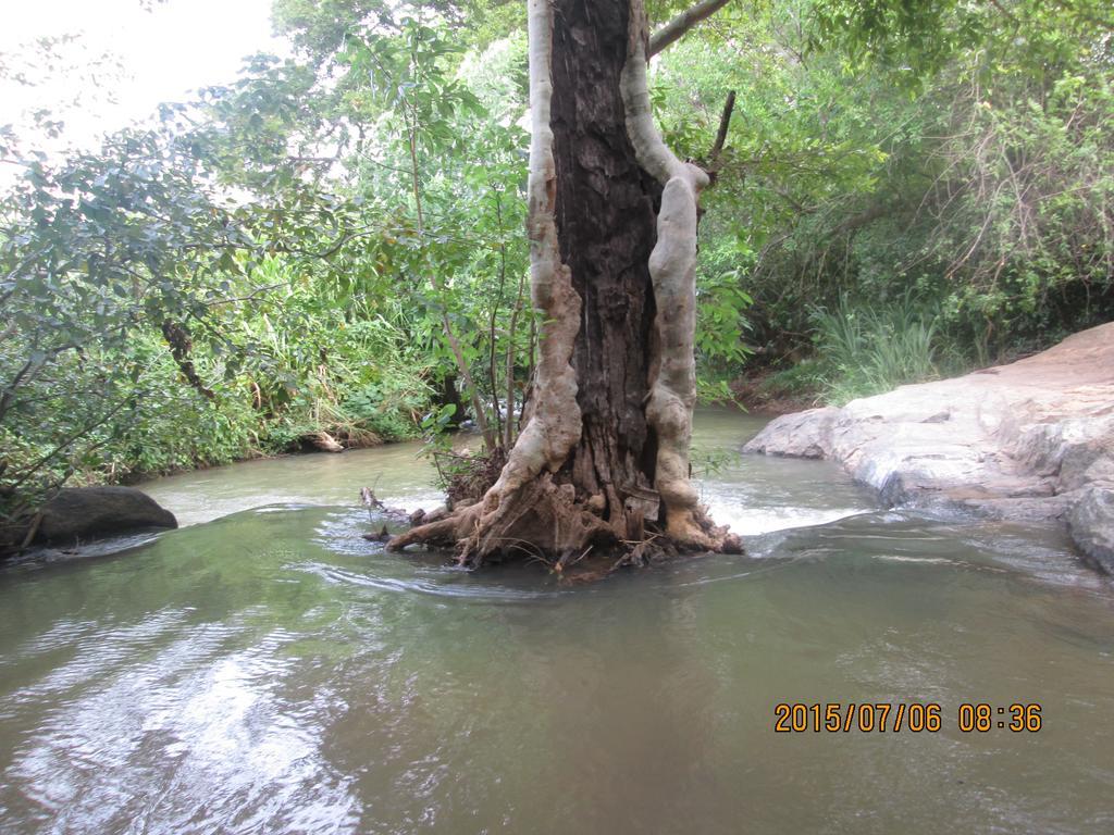 Riverside Lal Homestay Sigiriya Luaran gambar